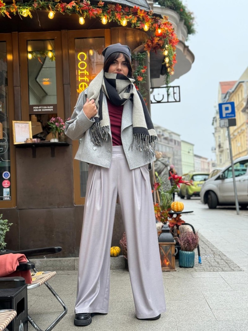 Miniatura produktu Spodnie Karl Grey