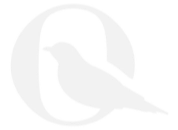 Autorskie Projekty, Indywidualne Podejście